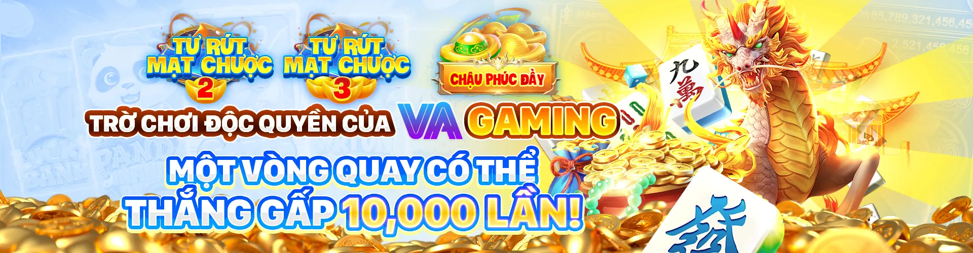 Điều khoản và Điều kiện của Zowin Login